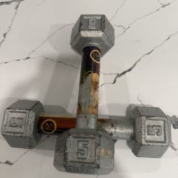 Pair of 5lbs  Dumbbells