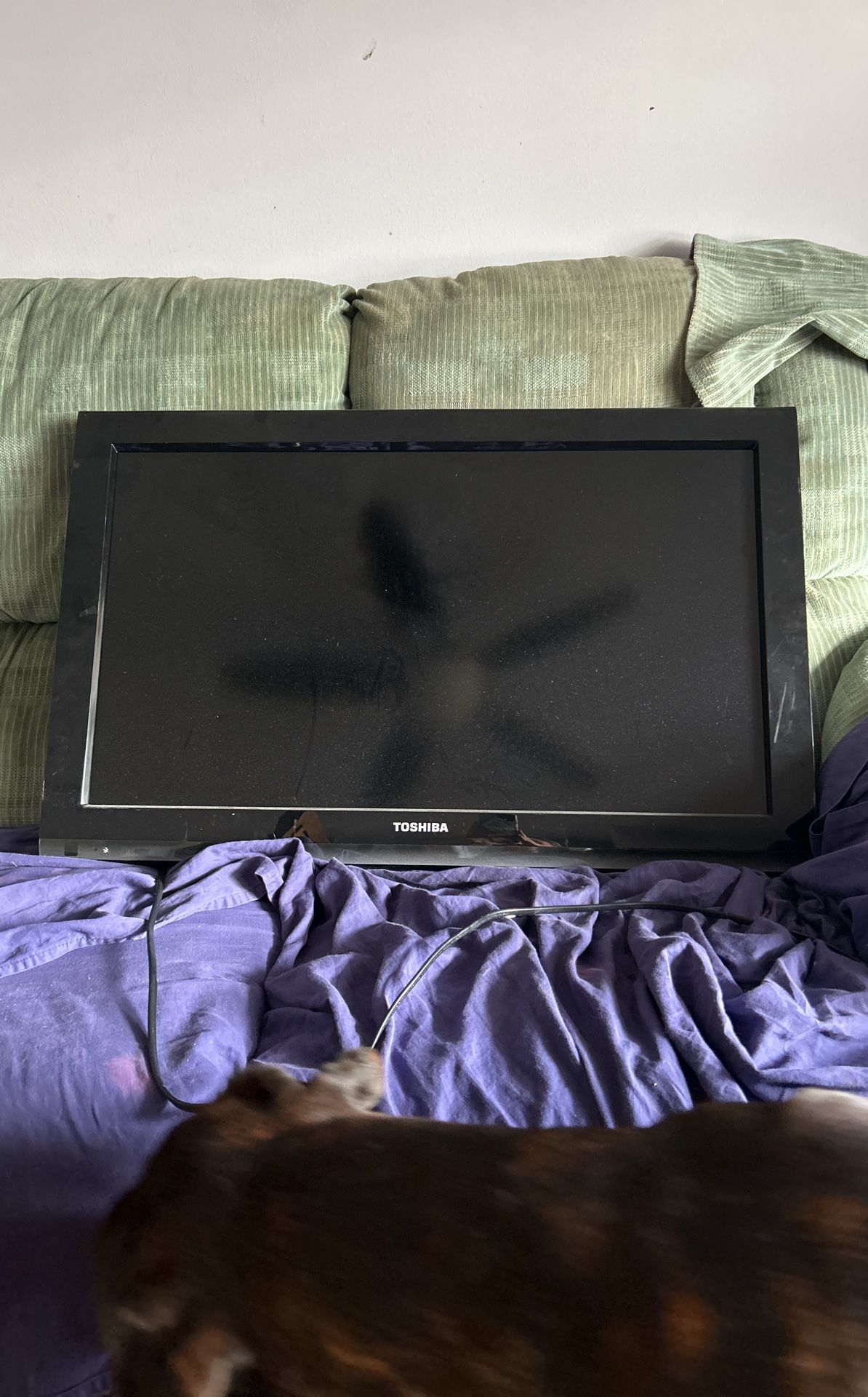 TV