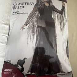 Reasonable Costumes 