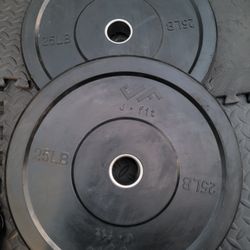 25lbs Bumper Weights 