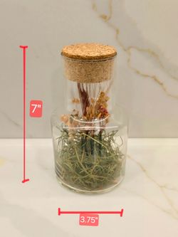 Glass Jar with Dried Flowers and Cork Lid