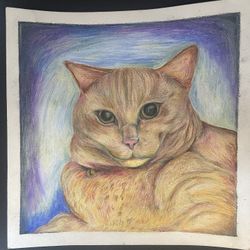 Petcare 