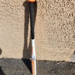 Baseball Bat & gloves