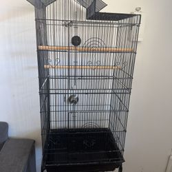 Bird Cage 