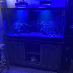 90 Gallon Complete Full Set Up