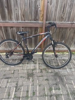 Schwin Bike