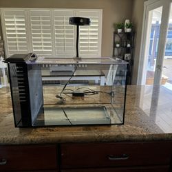 Saltwater Aquarium 