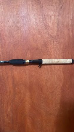 Castexpress bait caster rod