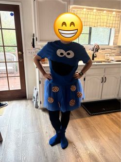 Cookie Monster costume