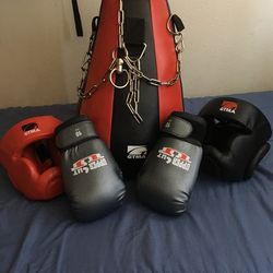 Martial arts bag facial and gloves