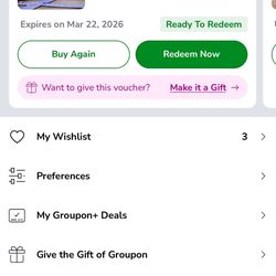 Skyzone Pass For 3/22/26