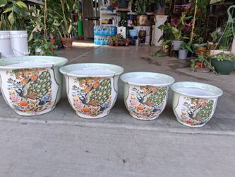 Peacock 🦚 Designed Pots $15 $23 $30 $38