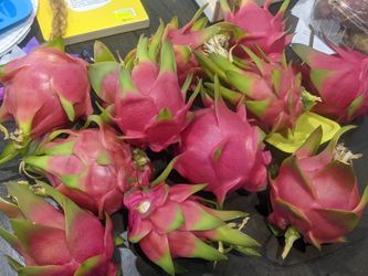 White Flesh Dragon Fruit