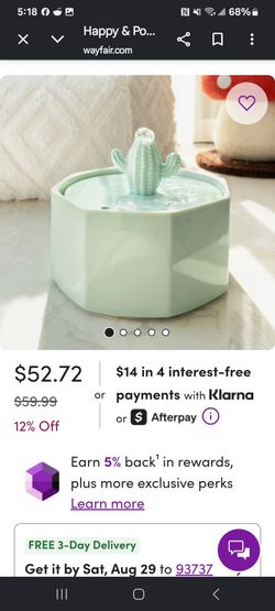 Cat fountain
