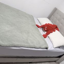 Queen Bed Frame And Mattress 