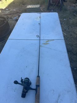 Shimmano reel and South bend intruder 