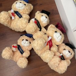 Graduation Bears 