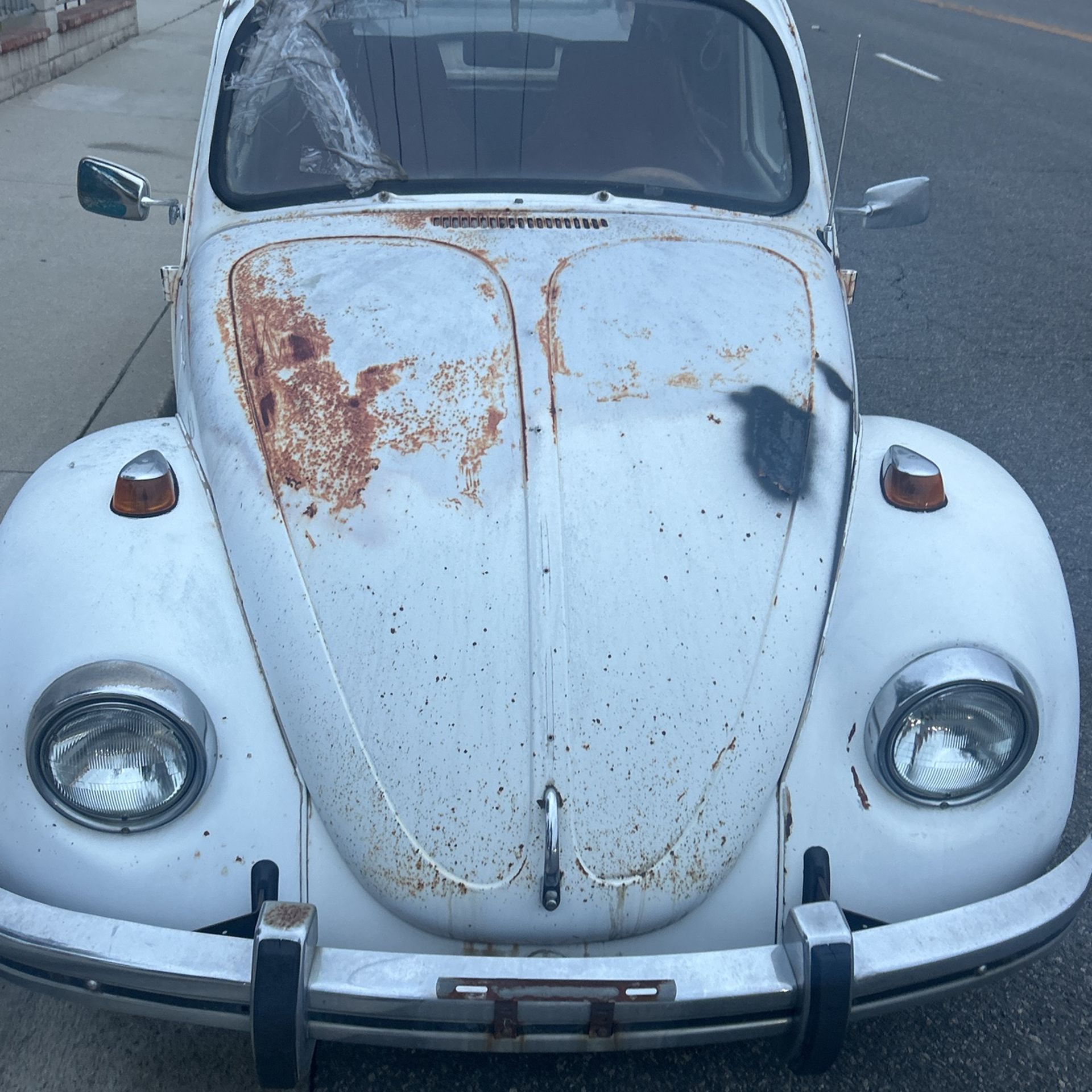 69. VW bug Windshield brand new.