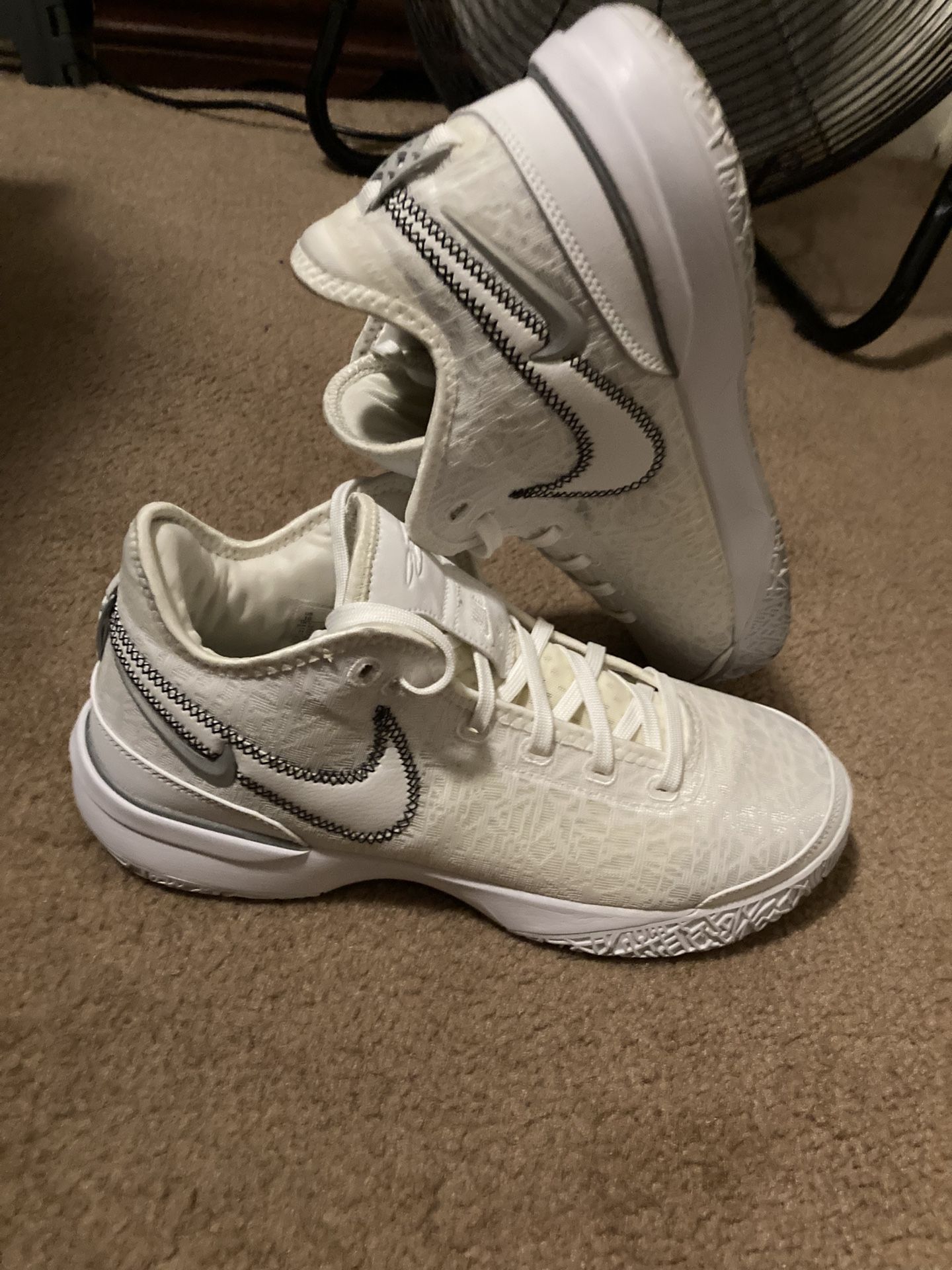 Nike Lebron