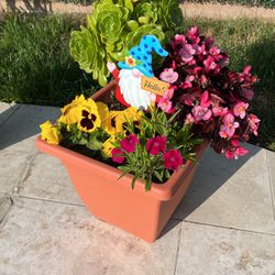 12” Patio Pots With Succulents And Blooming Plants