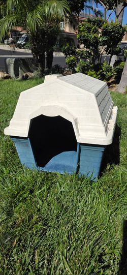 Large dog house