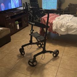 All Vibrant Upright Walker