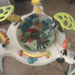 Baby Bouncer