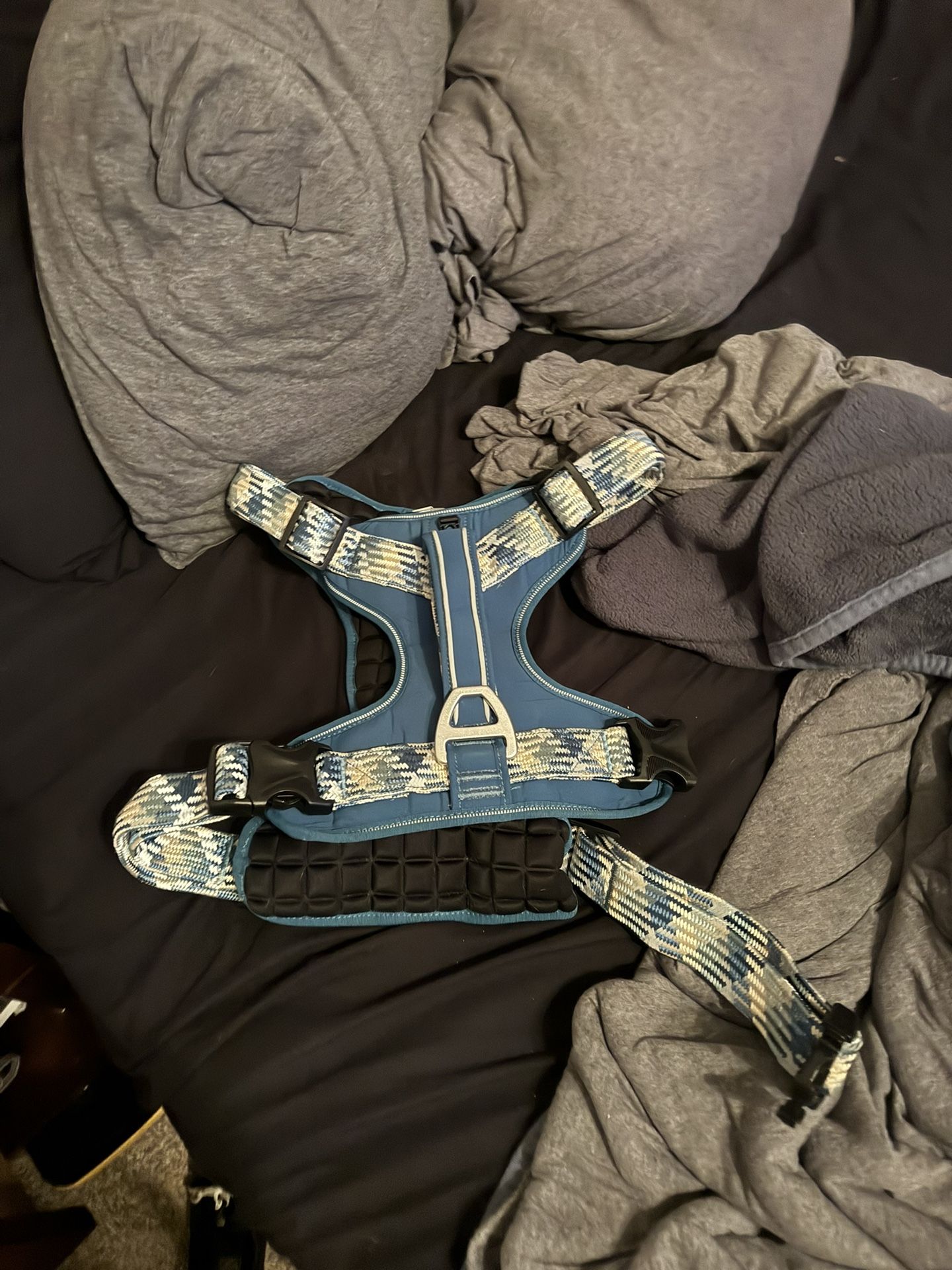 Dog Harness
