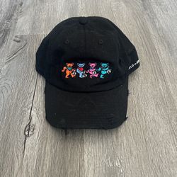 Bag Chaser Hat 