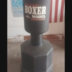 Boxing Boxer Great Condiction 