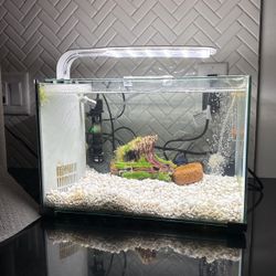 3-5 Gallon Betta Tank