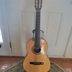 Junior guitar and stand
