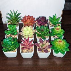 Mini Faux Succulent Plants In White Plastic Planters 12pk. New.