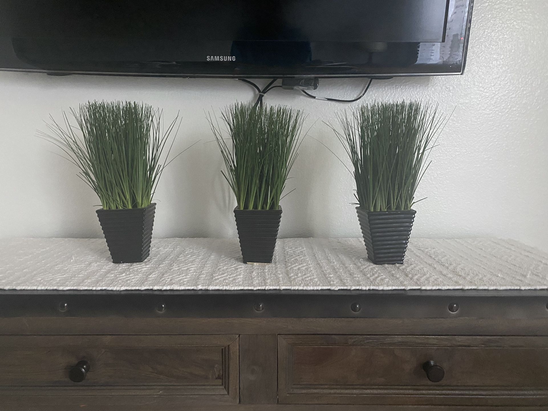 Plant Decor