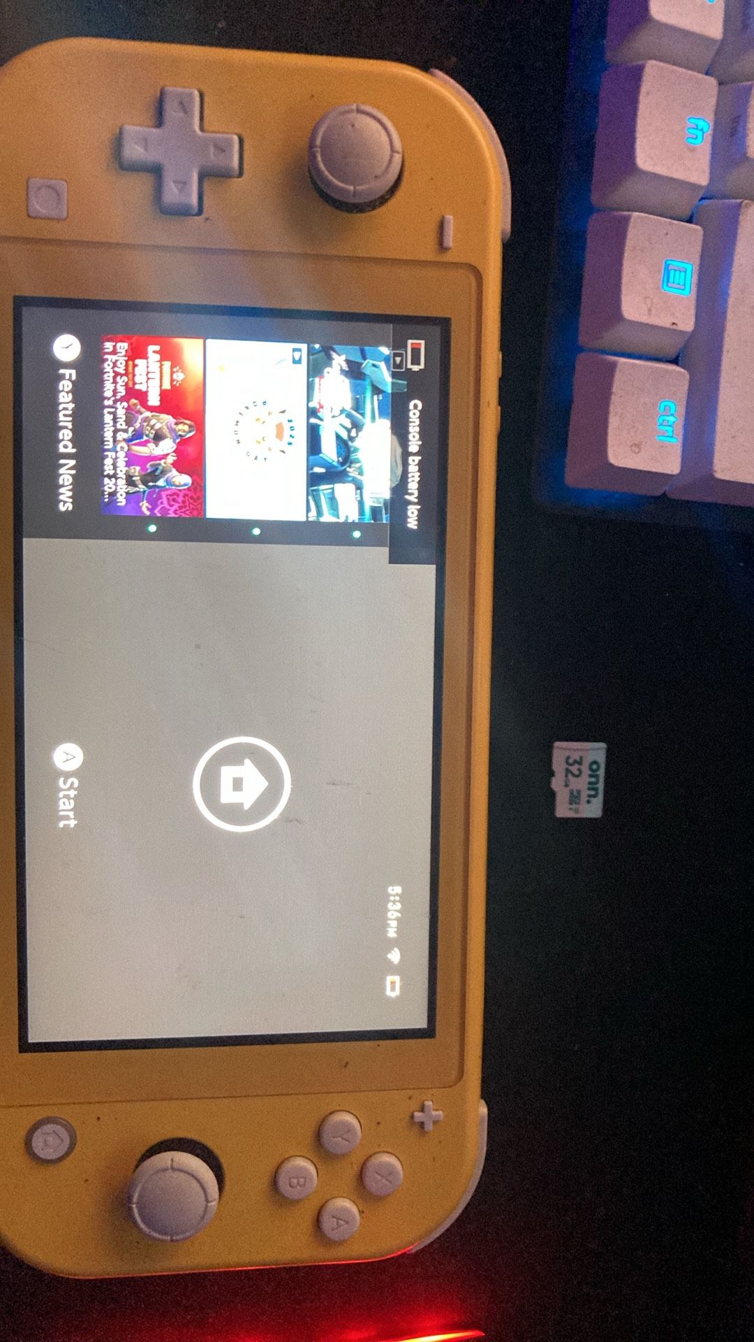 Nintendo Lite With 32 GB