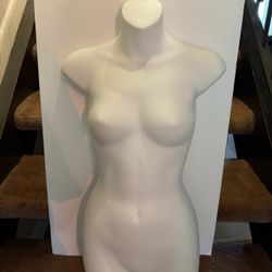 Used Female Torso Mannequin Form - Great Condition 