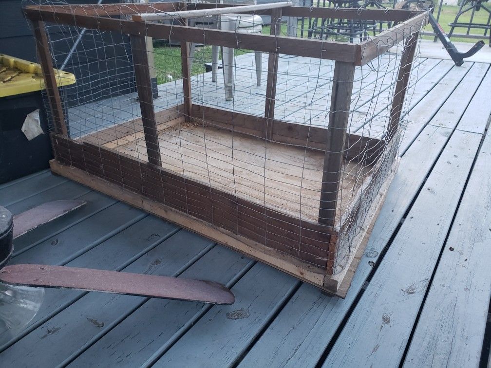 Chicken Brooder, Coop, Baby Chicks, Pollitos
