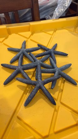 Set of 6 Starfish