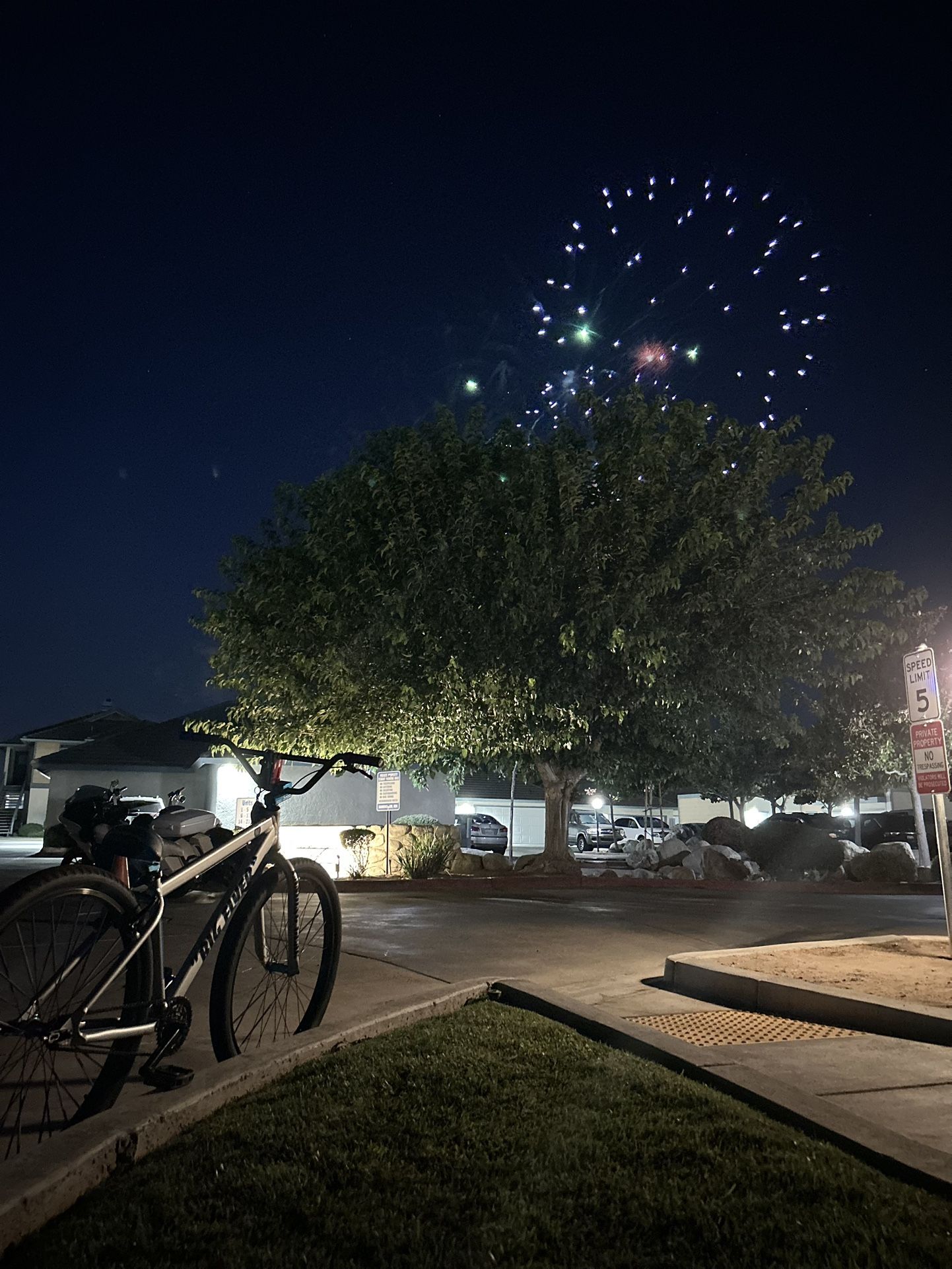 Big Flyer 29 SE BIKE