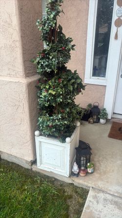Fake plant