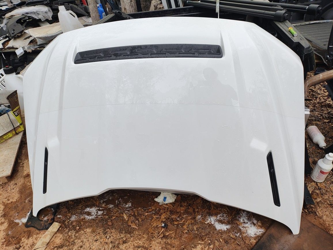 2015 To 2020 F-150 Hood With Vents.