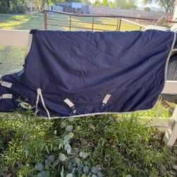 Horse Blanket