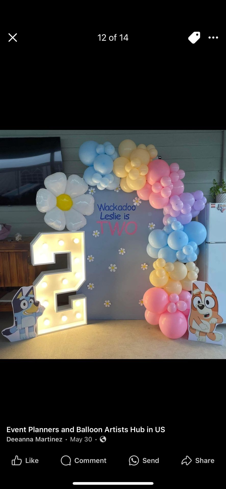 Bluey Balloon And marquee Letters numbers
