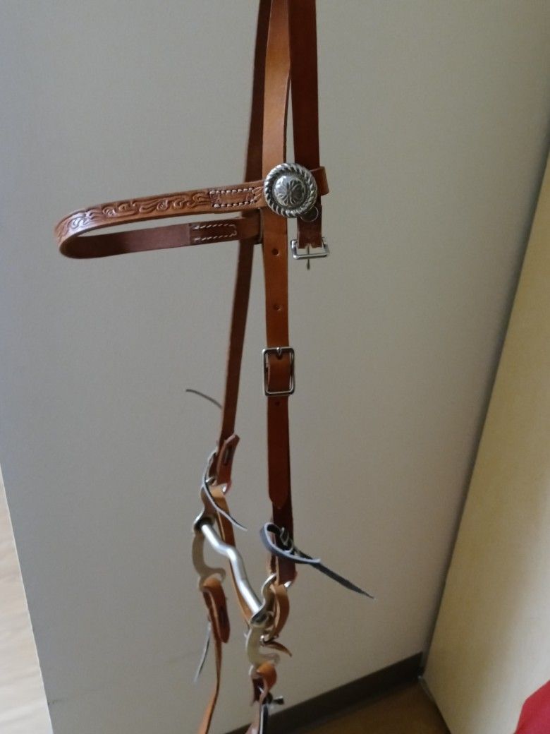 Horse Bridle 