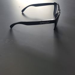 Oakley Frogskins Sunglasses