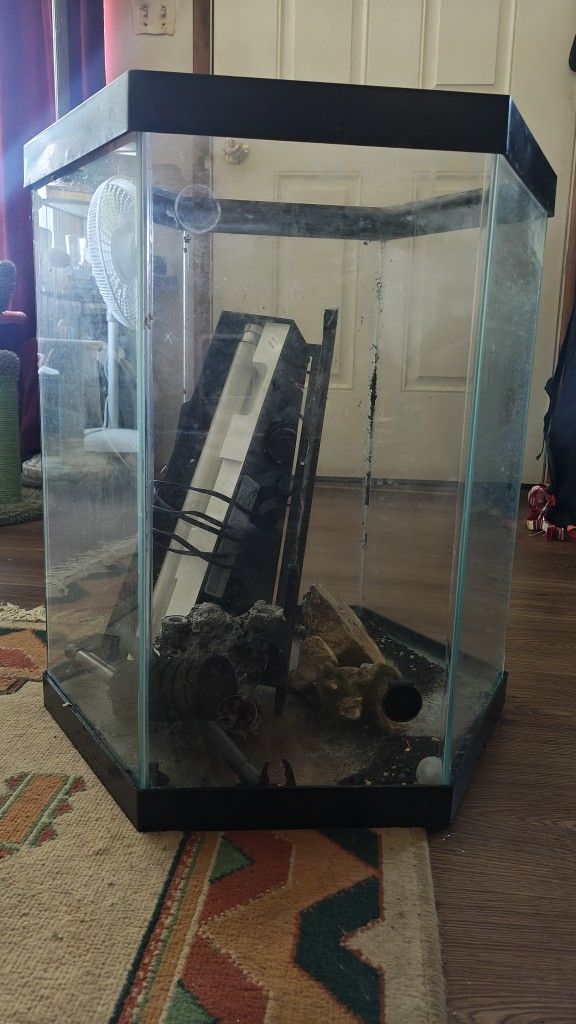 20 Gallon Hexagon Fish Tank