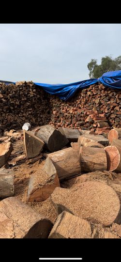 Eucalyptus Firewood