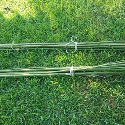 Bamboo ,Sticks $2 Each 