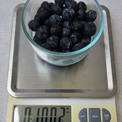 Counter Top Scale