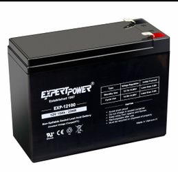 ExpertPower EXP12100 12V 10Ah